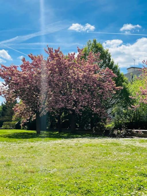 Studio Situe A 5 Min Du Chateau De Versailles Et Stationnement Gratuit Екстериор снимка